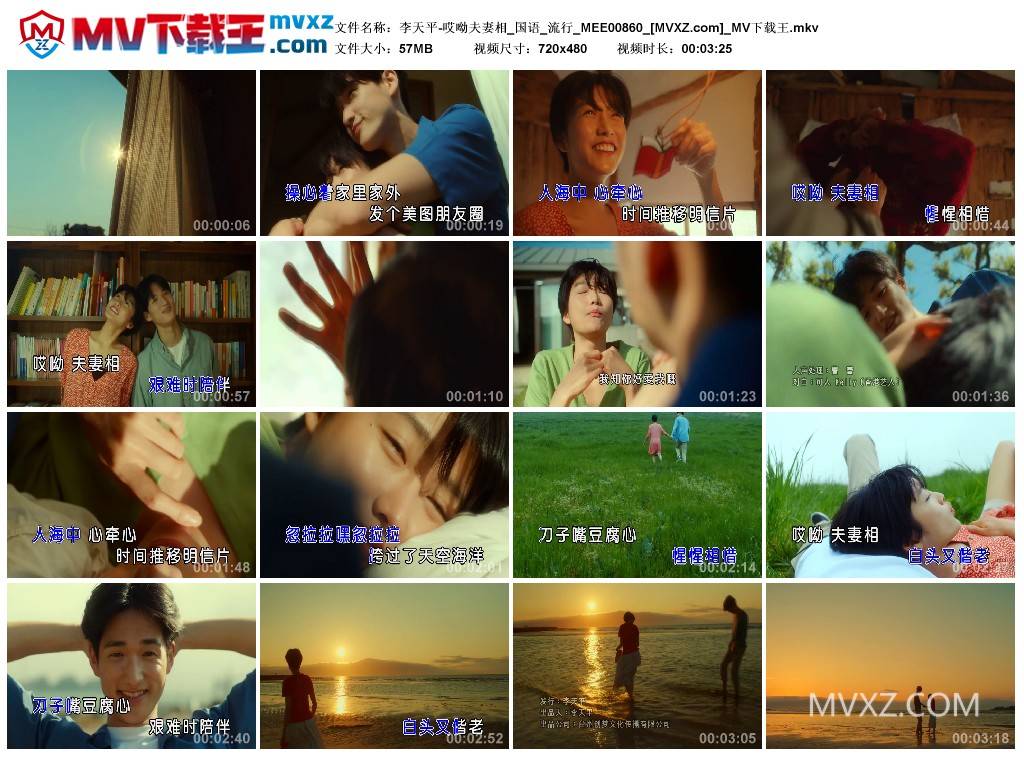 李天平-哎呦夫妻相_国语_流行_MEE00860